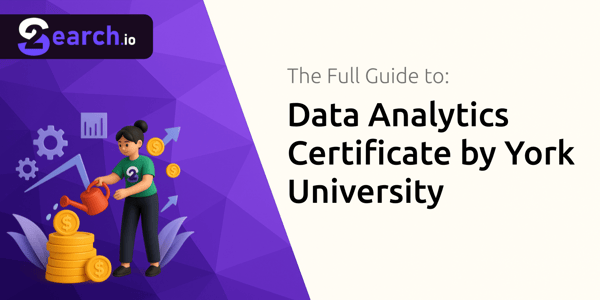 Data Analytics Certificate by York University: The Full Guide