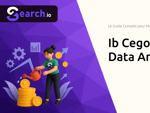 Ib Cegos Formation Data Analytics: Le Guide Complet pour Maîtriser Python et l'Analyse de Données